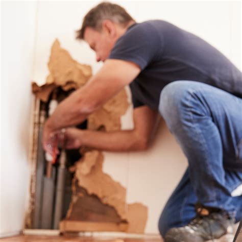 Coquitlam Emergency Plumbing Company (604) 365.